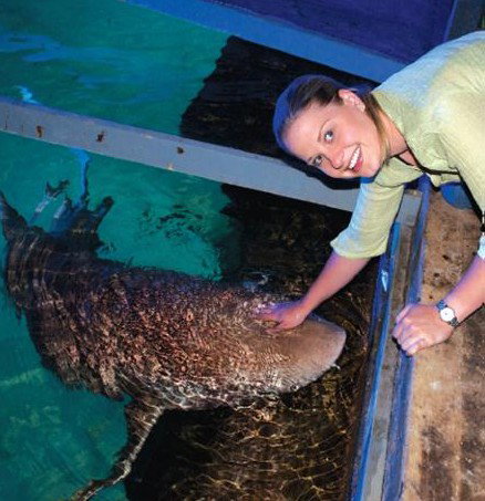 National Zoo & Aquarium - Nambucca Heads Accommodation 7