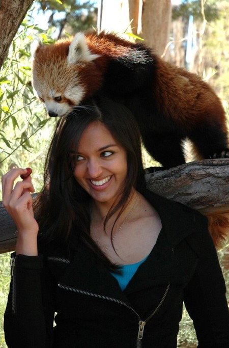 National Zoo & Aquarium - Nambucca Heads Accommodation 8