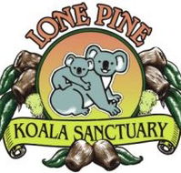 Lone Pine Koala Sanctuary - Nambucca Heads Accommodation