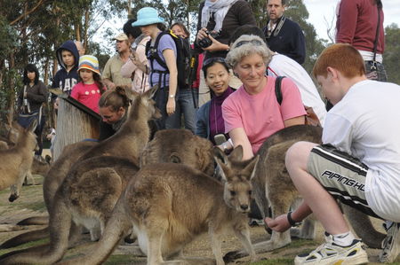East Coast Natureworld - Nambucca Heads Accommodation 4