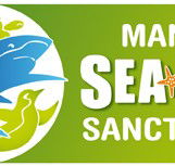 Manly SEA LIFE Sanctuary - Nambucca Heads Accommodation