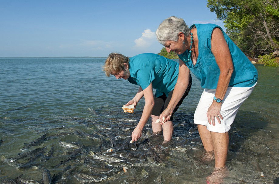 Darwin And Surrounds NT Nambucca Heads Accommodation