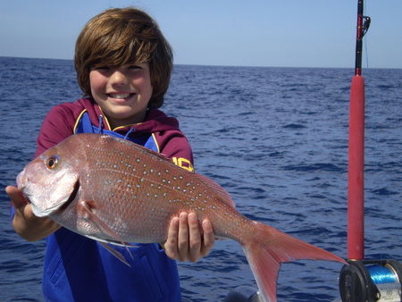 Mills Charters Fishing And Whale Watch Cruises - Nambucca Heads Accommodation 4