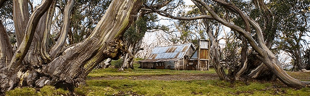 High Country Scenic Tours - Nambucca Heads Accommodation