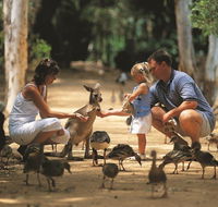 Billabong Sanctuary - Nambucca Heads Accommodation