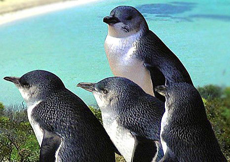 South Eastern Perth WA Nambucca Heads Accommodation