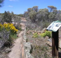Christmas Rock Walk - Nambucca Heads Accommodation