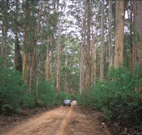 Boranup Drive - Nambucca Heads Accommodation