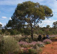 Karlkurla Bushland Park - Nambucca Heads Accommodation