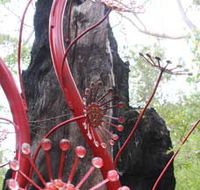 Understory Art In Nature - Nambucca Heads Accommodation