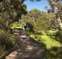 Leschenault Peninsula Conservation Park - Nambucca Heads Accommodation