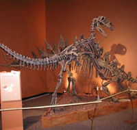 Denmark Dinosaur World - Nambucca Heads Accommodation