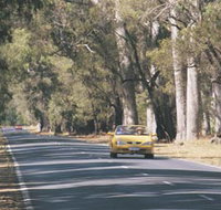 Ludlow Tuart Forest - Nambucca Heads Accommodation
