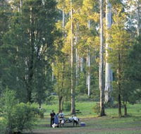Big Brook Arboretum - Nambucca Heads Accommodation