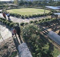 Kojonup Rose Maze - Nambucca Heads Accommodation