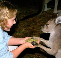 Discovery Bay's Walk on the Wild Side - Nambucca Heads Accommodation