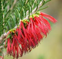 Ethel Daw Scenic Drive - Nambucca Heads Accommodation