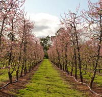 Raeburn Orchards - Nambucca Heads Accommodation