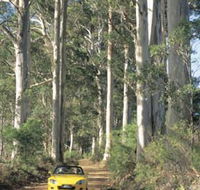 Mount Shadforth Scenic Drive - Nambucca Heads Accommodation