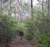 Margaret River Rails Trail - Nambucca Heads Accommodation