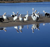 Peel Region Canoe Trails - Nambucca Heads Accommodation