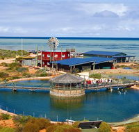 Ocean Park Aquarium - Nambucca Heads Accommodation