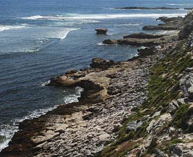 Cape Vlamingh - Nambucca Heads Accommodation 0