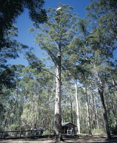 Manjimup WA Nambucca Heads Accommodation