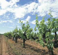 Blackwood Meadery - Nambucca Heads Accommodation