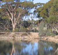 Merredin Railway Dam - Nambucca Heads Accommodation