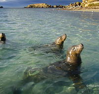 Shoalwater Islands Marine Park - Nambucca Heads Accommodation