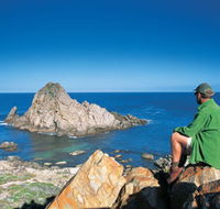 Sugarloaf Rock - Nambucca Heads Accommodation