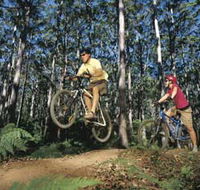 Leeuwin-Naturaliste National Park - Cowaramup - Nambucca Heads Accommodation