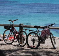 Parker Point Marine Snorkel Trail - Nambucca Heads Accommodation