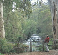 Cascades - Nambucca Heads Accommodation