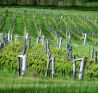 Sienna Estate Winery - Nambucca Heads Accommodation