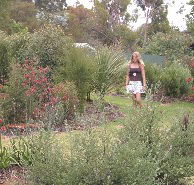 The Mythic Mazes - Nambucca Heads Accommodation