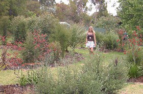 The Mythic Mazes - Nambucca Heads Accommodation 0