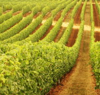 Xanadu Wines - Nambucca Heads Accommodation
