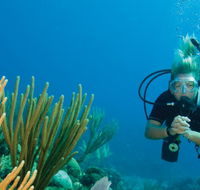 Coastal Water Dive - Nambucca Heads Accommodation