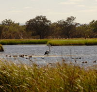 Anytime Adventures in Mandurah  the Peel Region - Nambucca Heads Accommodation