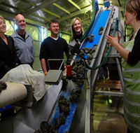 Eyre Peninsula's Seafood Trail - Nambucca Heads Accommodation
