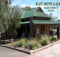 Rain Moth Gallery - Nambucca Heads Accommodation