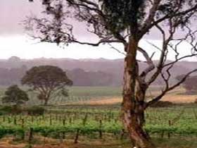  Nambucca Heads Accommodation