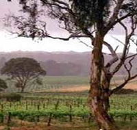 Yangarra Estate Vineyard - Nambucca Heads Accommodation