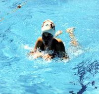 Mount Gambier Aquatic Centre - Nambucca Heads Accommodation