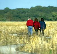 Onkaparinga River Recreation Park - Nambucca Heads Accommodation