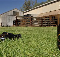 Wilkadene Woolshed Brewery - Nambucca Heads Accommodation