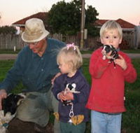 Orrie Cowie Merino and Poll Merino Stud - Nambucca Heads Accommodation