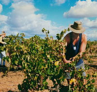 Torbreck Vintners - Nambucca Heads Accommodation